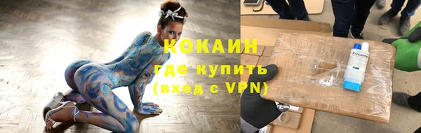прущие грибы Балабаново