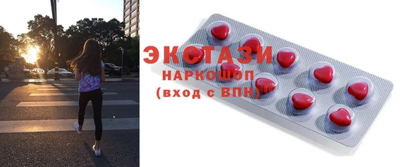 ECSTASY Богородск