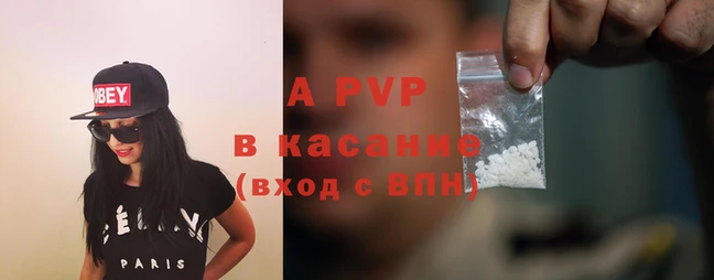 PSILOCYBIN Каменка