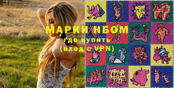 PSILOCYBIN Каменка