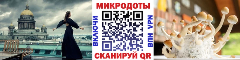 Псилоцибиновые грибы Magic Shrooms  цены   Раменское 