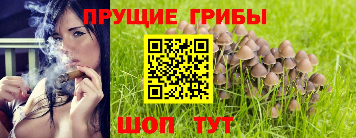 Галлюциногенные грибы Cubensis  Галлюциногенные грибы Psilocybine cubensis  Вход с VPN  Раменское 